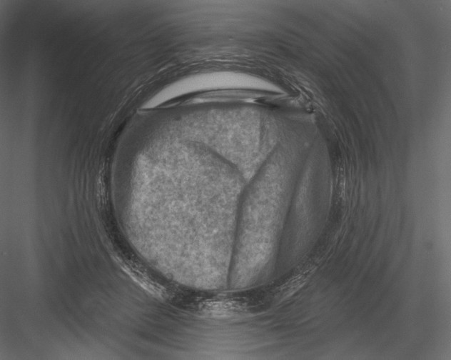 X0000082960408200702222345