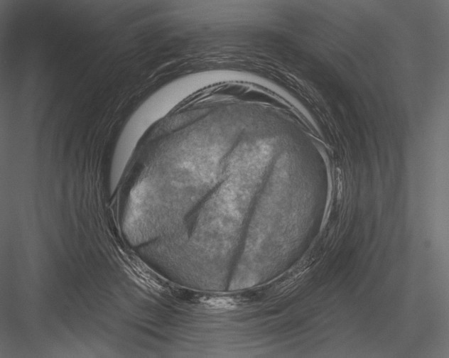 X0000082960409200702222345