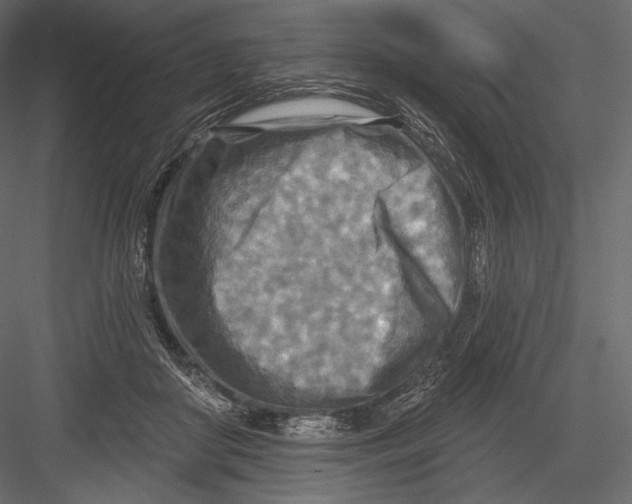 X0000082960410200702222345