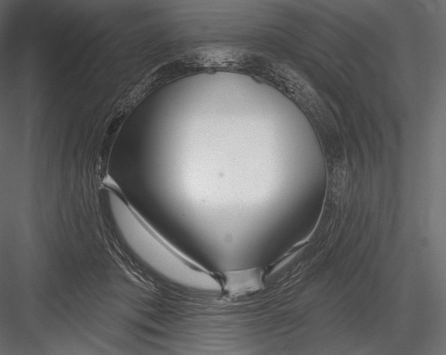 X0000082960413200702222345