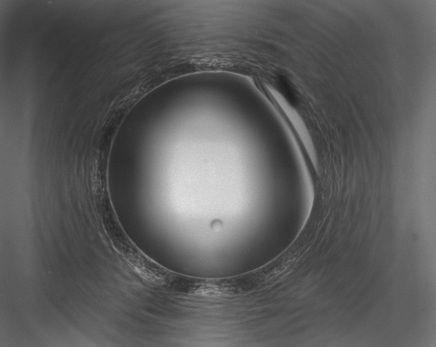 X0000082960416200702222345