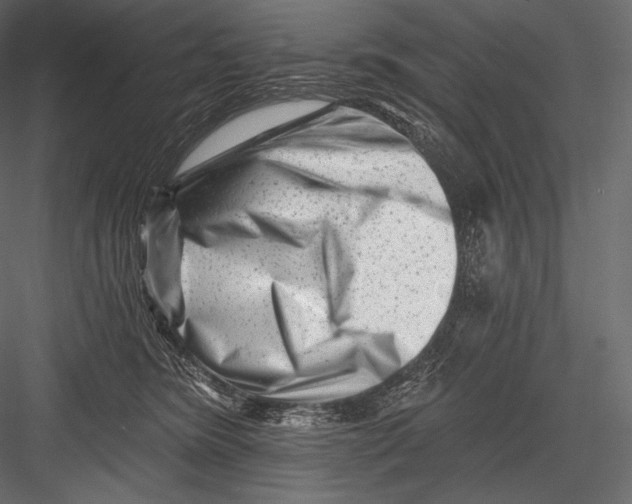 X0000082960420200702222345