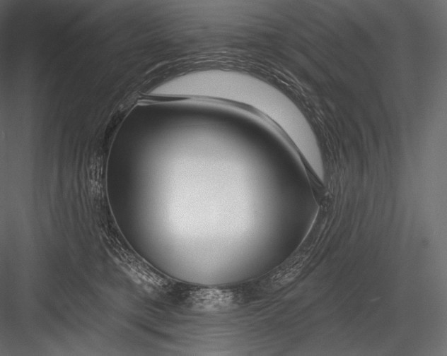 X0000082960421200702222345