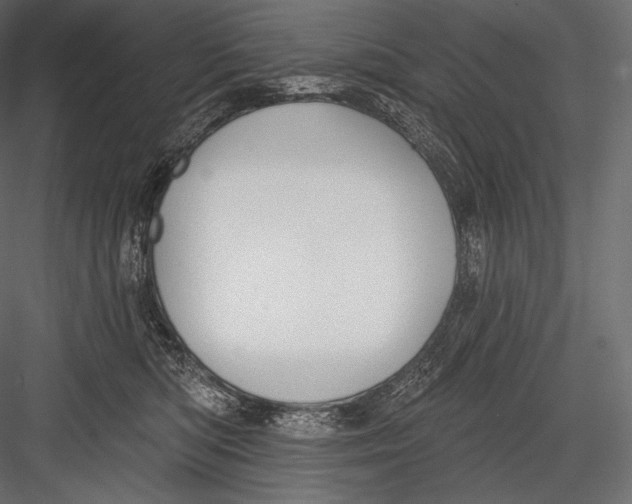 X0000082960422200702222345