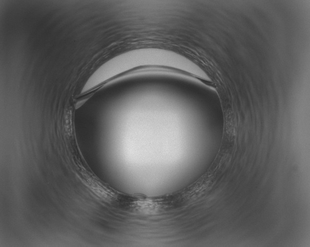 X0000082960425200702222345