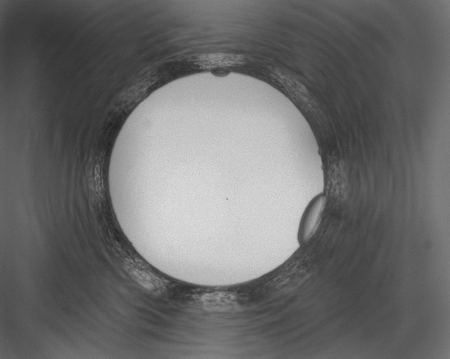 X0000082960426200702222345