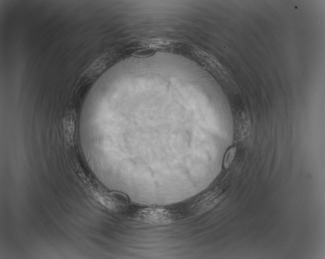 X0000082960427200702222345