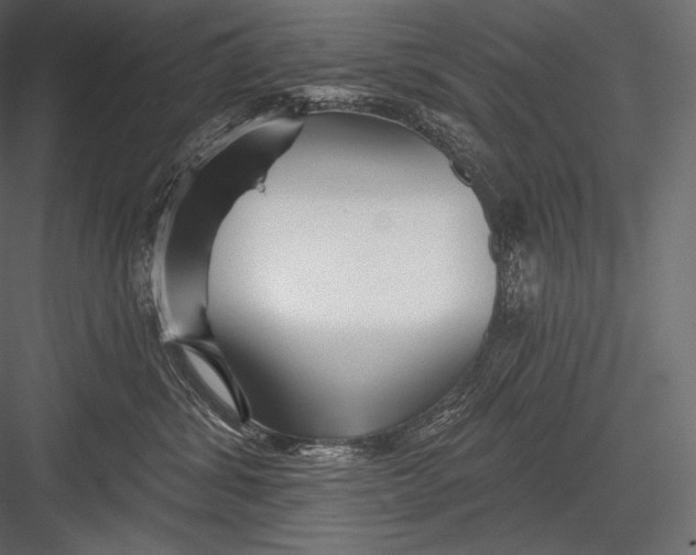 X0000082960428200702222345