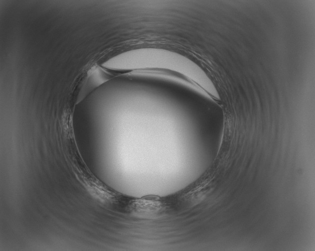 X0000082960429200702222345