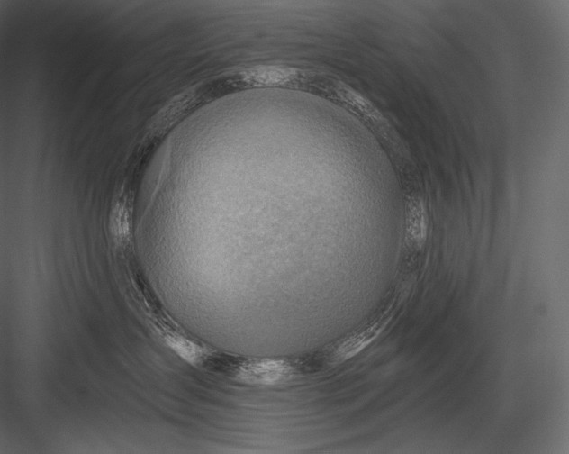 X0000082960431200702222345