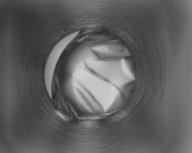 X0000082960432200702222345