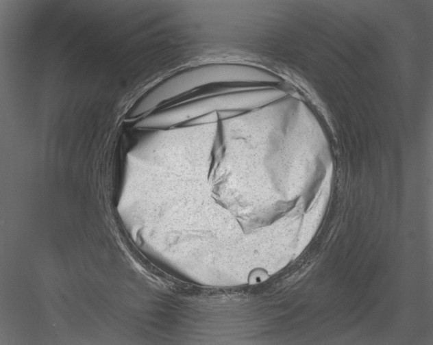 X0000082960433200702222344