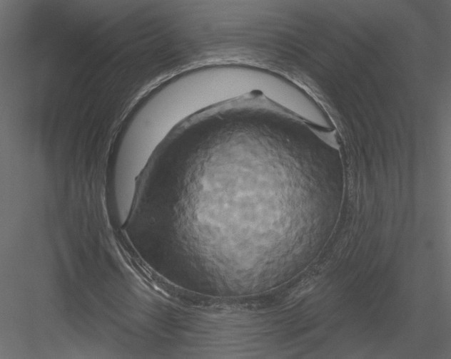 X0000082960434200702222344