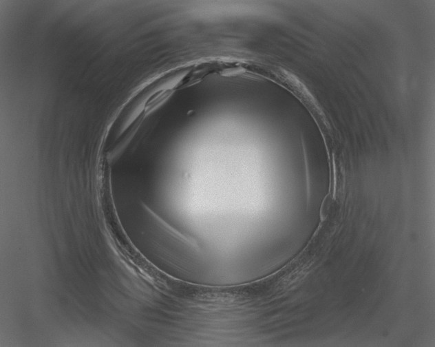 X0000082960435200702222344