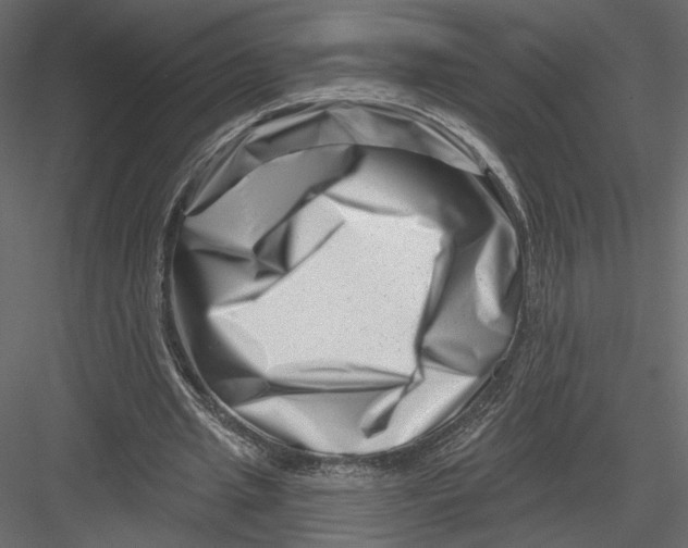 X0000082960437200702222344