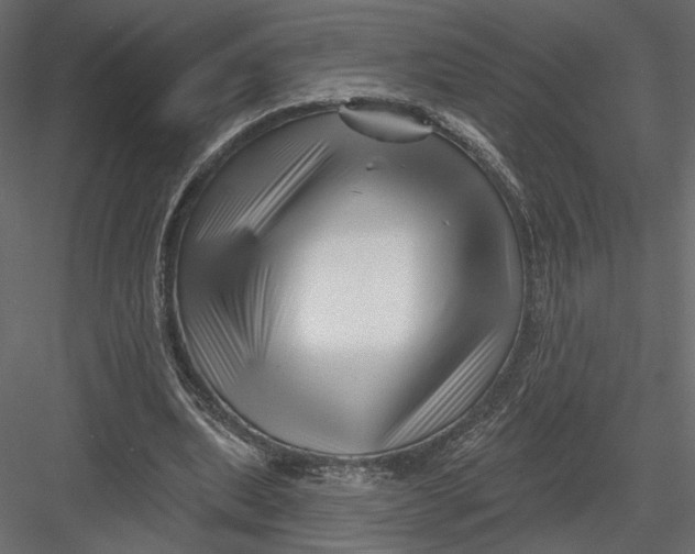 X0000082960439200702222344