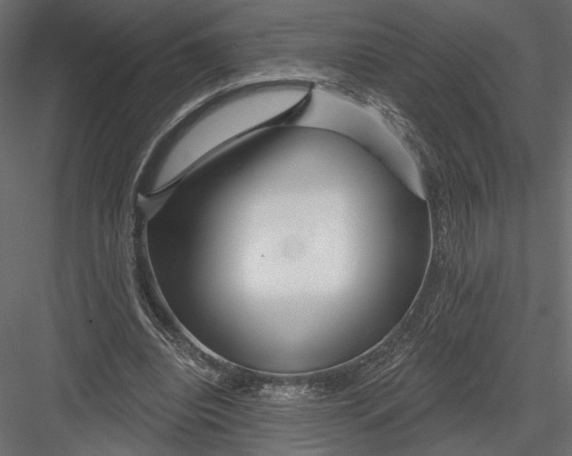 X0000082960440200702222344