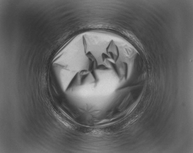 X0000082960441200702222344