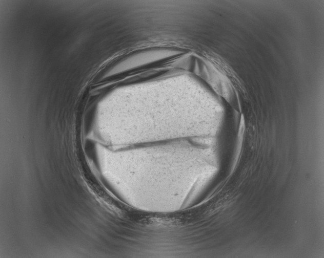 X0000082960442200702222344