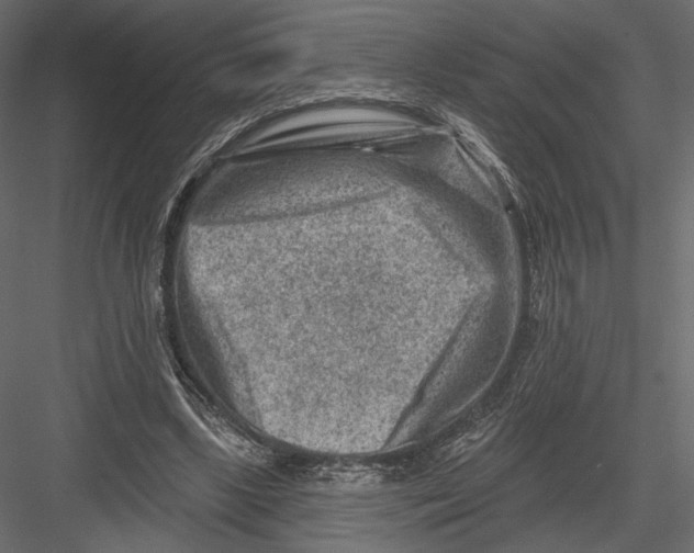 X0000082960443200702222344