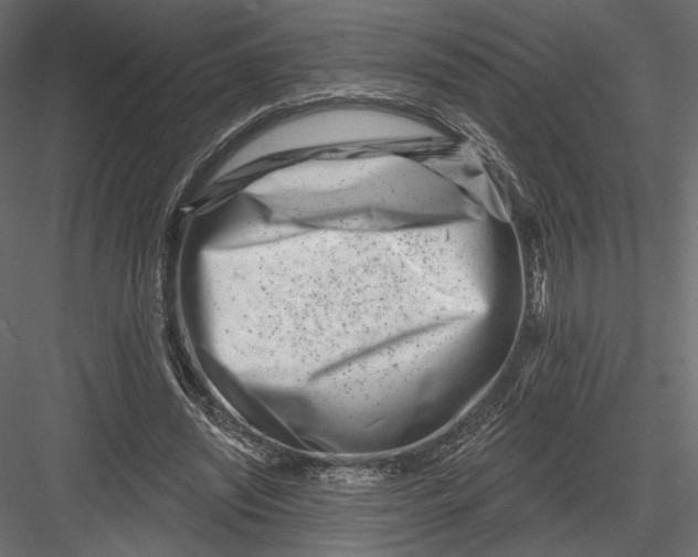 X0000082960444200702222344