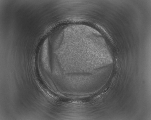 X0000082960447200702222344