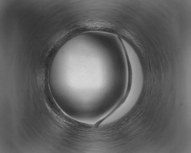 X0000082960448200702222344