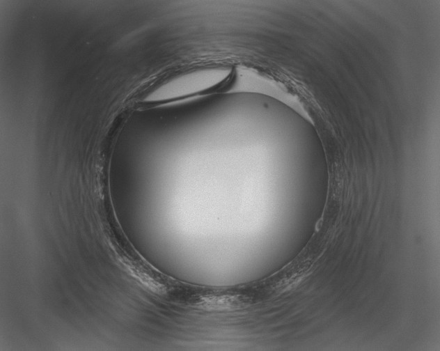 X0000082960450200702222344