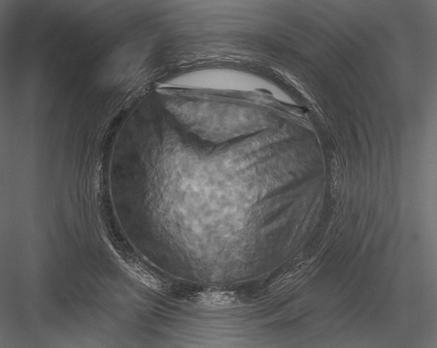 X0000082960451200702222344