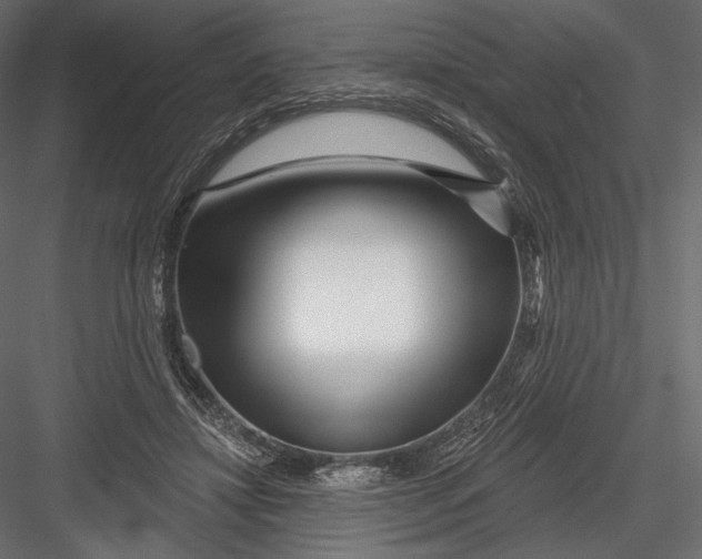 X0000082960452200702222344