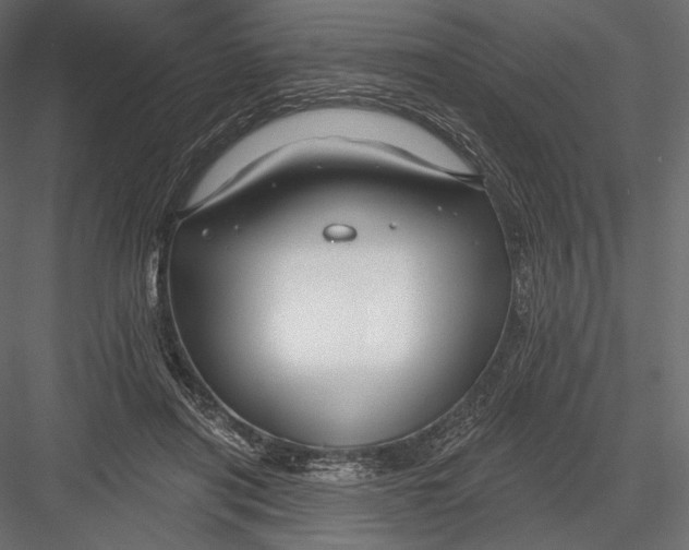 X0000082960454200702222344