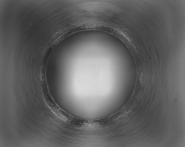 X0000082960455200702222344