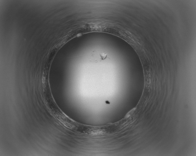 X0000082960456200702222344