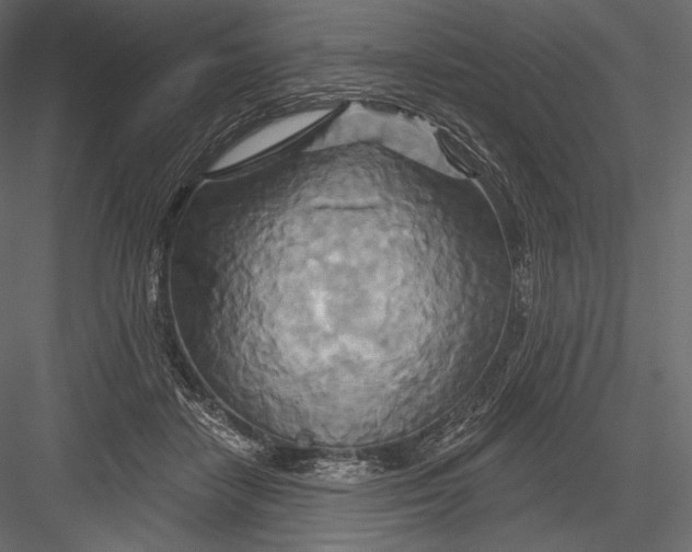 X0000082960458200702222344