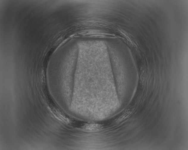 X0000082960459200702222344