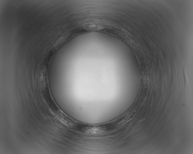 X0000082960460200702222344