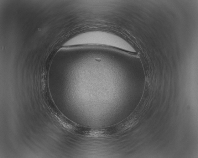 X0000082960462200702222344