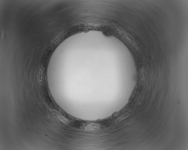 X0000082960463200702222344