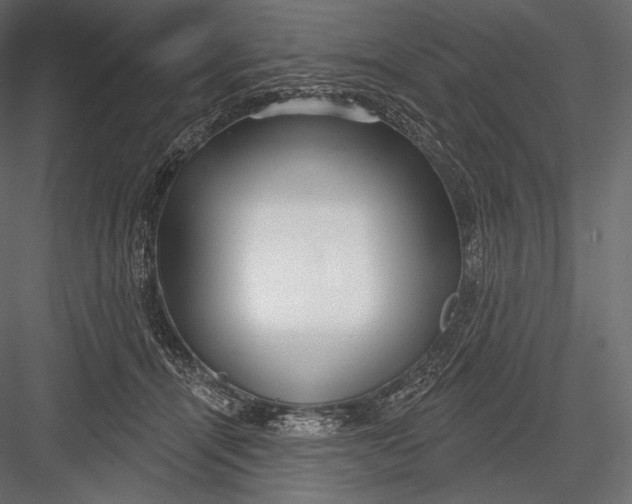 X0000082960464200702222344