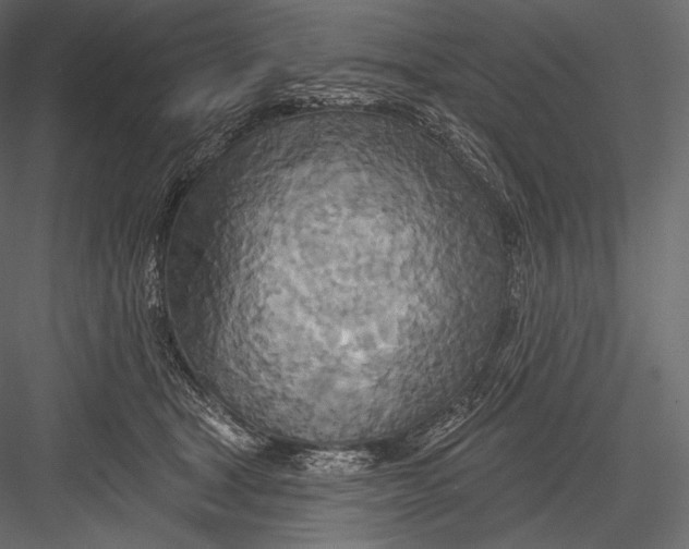 X0000082960465200702222344