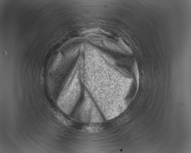 X0000082960466200702222344