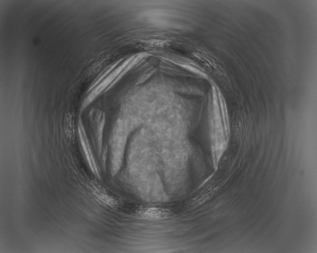 X0000082960467200702222344