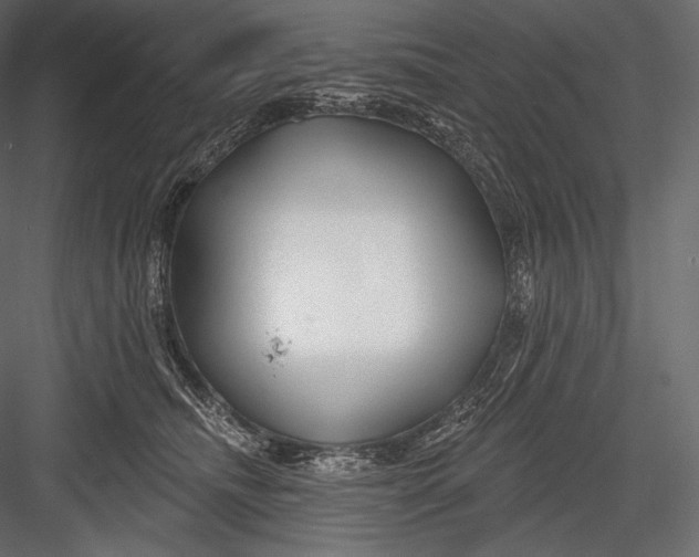 X0000082960468200702222344