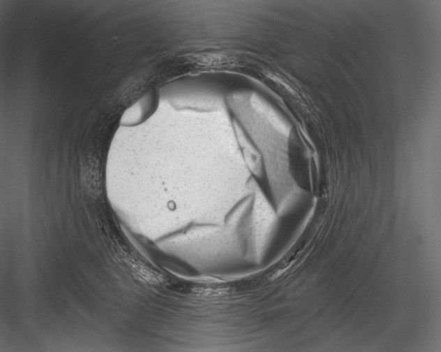 X0000082960469200702222345