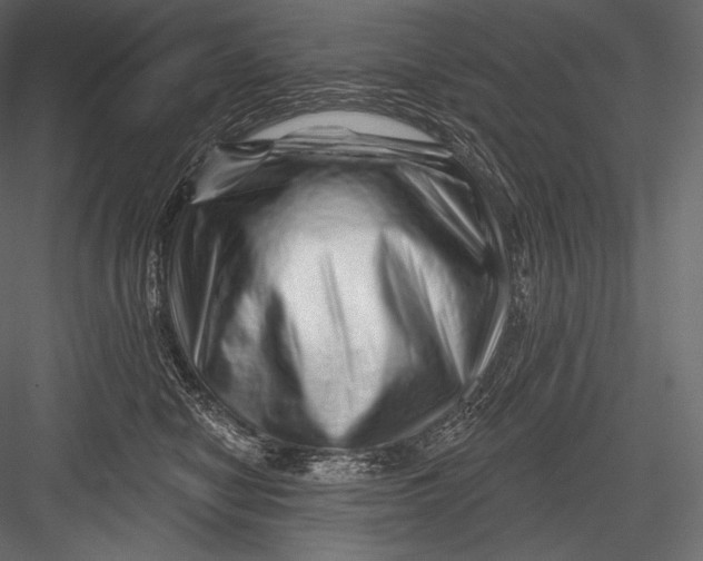 X0000082960470200702222345