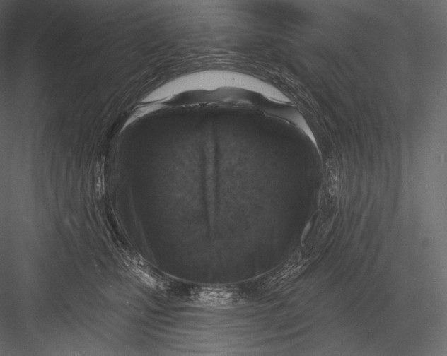 X0000082960471200702222345