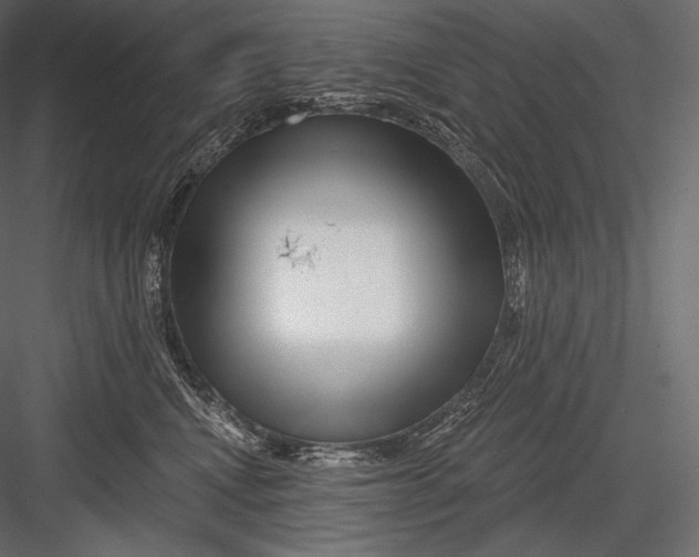 X0000082960472200702222345