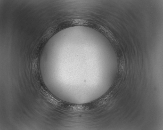 X0000082960473200702222345