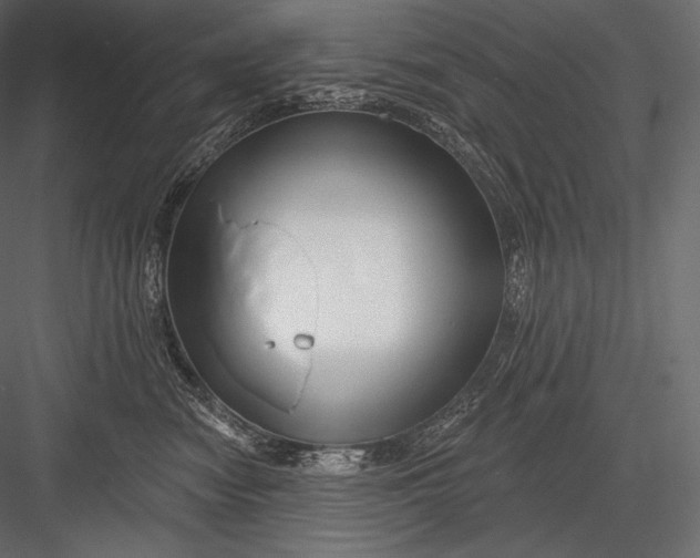 X0000082960474200702222345