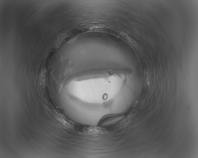 X0000082960475200702222345